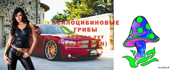 mdpv Баксан