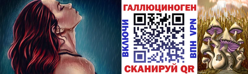 Псилоцибиновые грибы Cubensis  Перевоз 